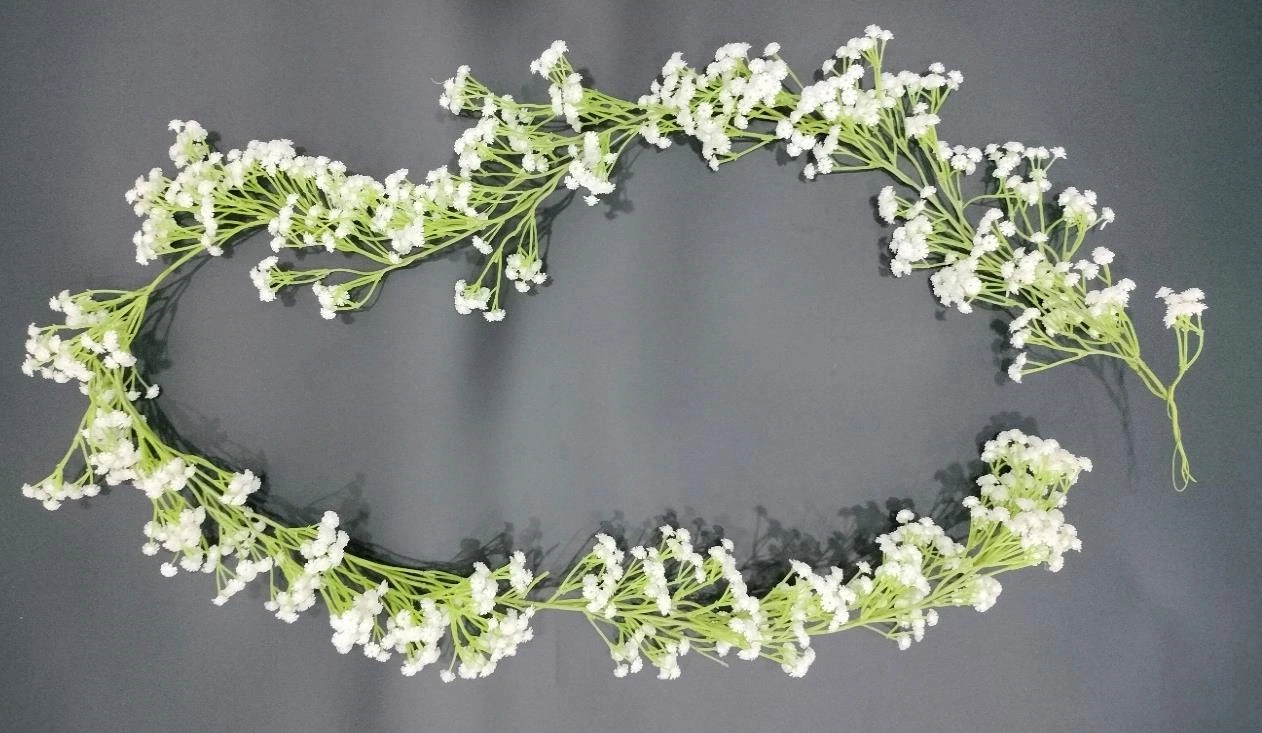 Gypso Creeper 180cm